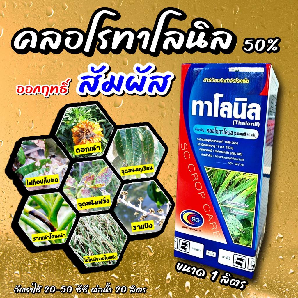 ทาโรนิล 1 ลิตร คลอโรทาโลนิล 50 % กำจัดโรคพืช เชื้อรา โรคใบจุด โรคราน้ำค้าง โรคราสนิม โรคกุ้งแห้ง โรคตากบ ดาวเรือง