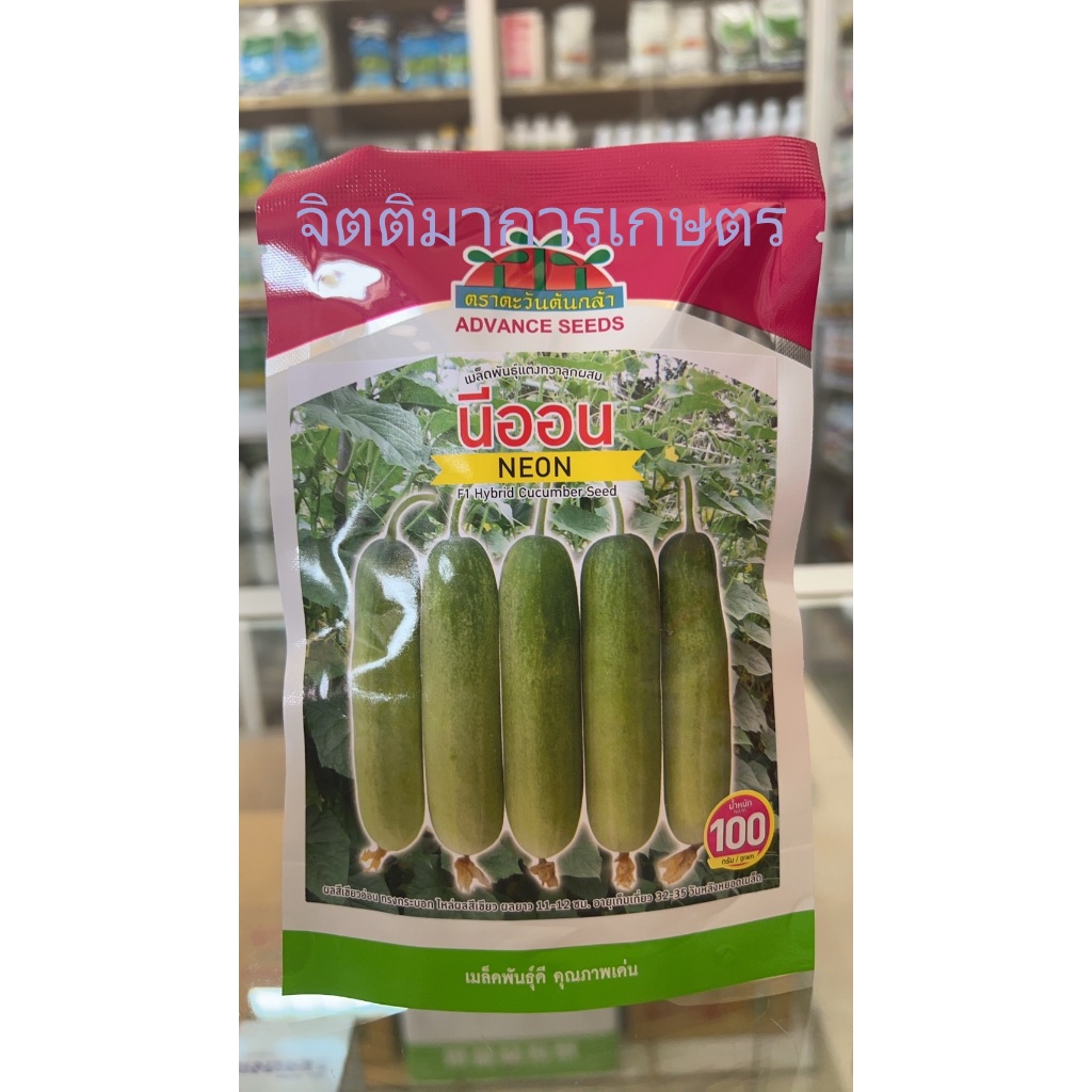 เมล็ดพันธุ์แตงกวาลูกผสม นีออน 100กรัม รุ่นใหม่แบบซอง ตราตะวันต้นกล้า