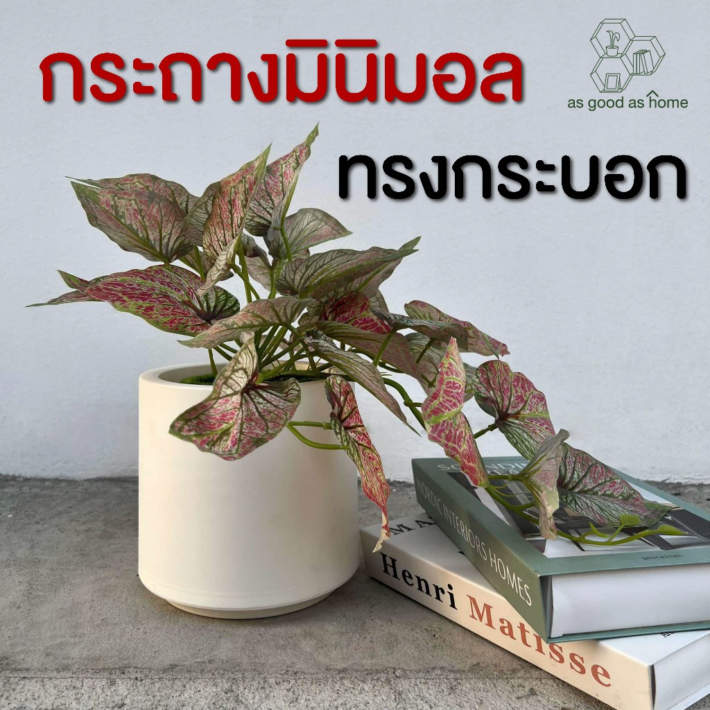 🚚ส่งจากไทย🚀กระถางมินิมอล ทรงกระบอก สีขาว ทำจากพลาสติกอย่างหนา🌻ใช้ปลูกต้นไม้/ดอกไม้🌻ใช้แต่งบ้าน