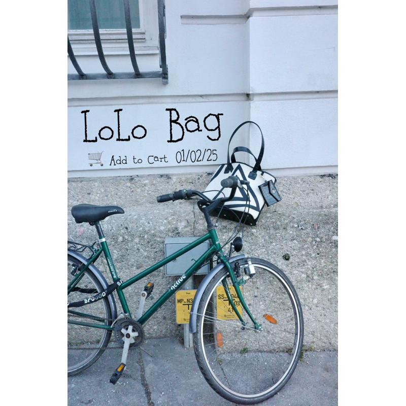 LoLo Bag (กระเป๋ารุ่นโลโล่)