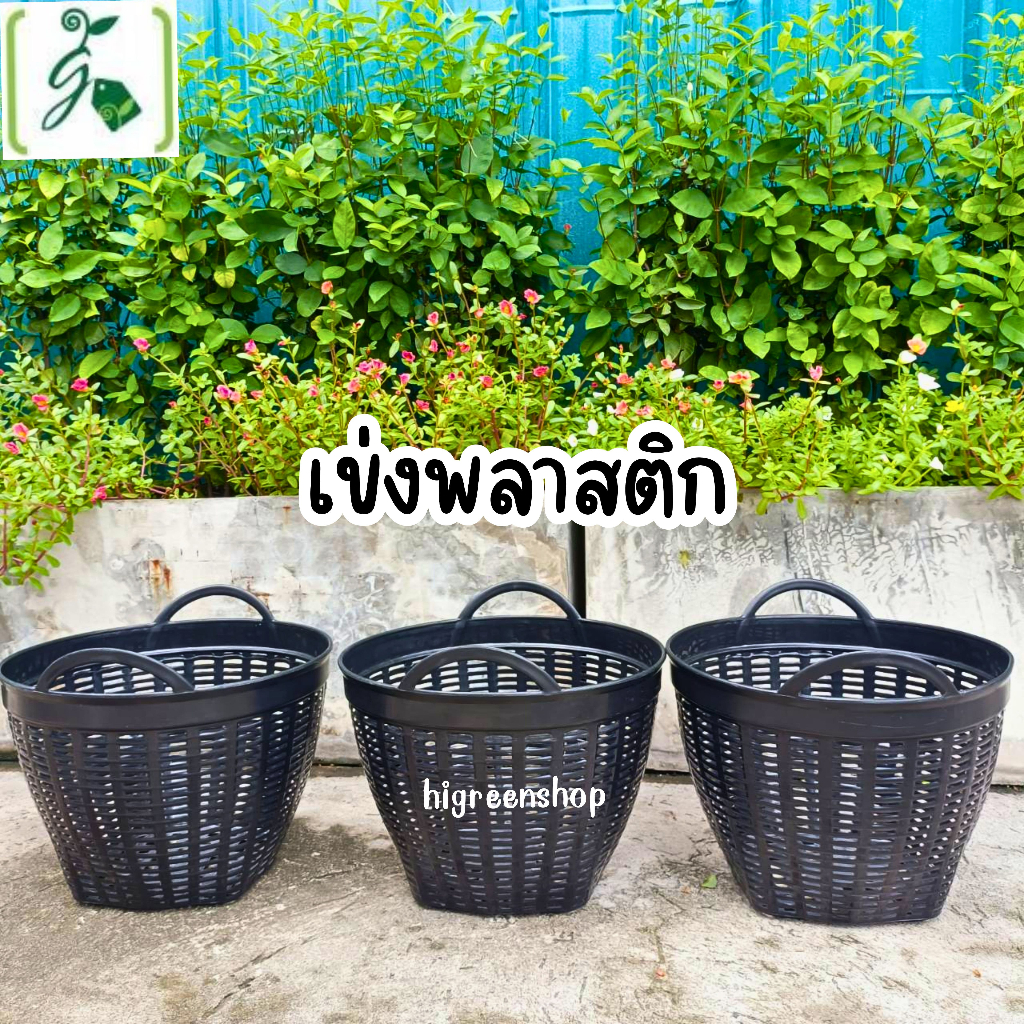 เข่งพลาสติก (14 นิ้ว ) ขนาด 36 x 36 x 26 cm.