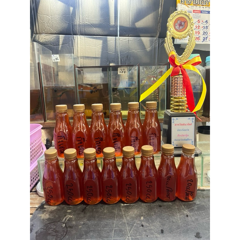 สำหรับปลากัดเก่งน้ำหมักใบกรวยกึ่งKมี9เซียนขนาด250ml