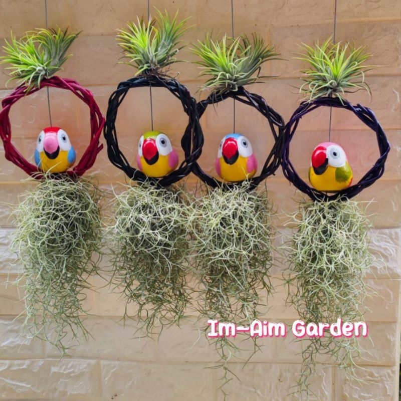 เคราฤาษีแต่ง นกแก้ว -- นกฮูกตัวอ้วน สีสดใสน่ารัก ((ขนาดสูง3นิ้ว))งานน่ารักมาก