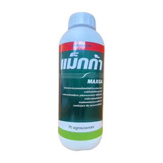 เเม็กนีเซียม 🌱🌱(แม็กก้า) สูตรเข้มข้นในรูปคีเลท( EDTA )+อะมิโน ช่วยให้ใบพืชเขียวเข้ม ธาตุอาหารรอง ธาตุเสริม 1ลิตร