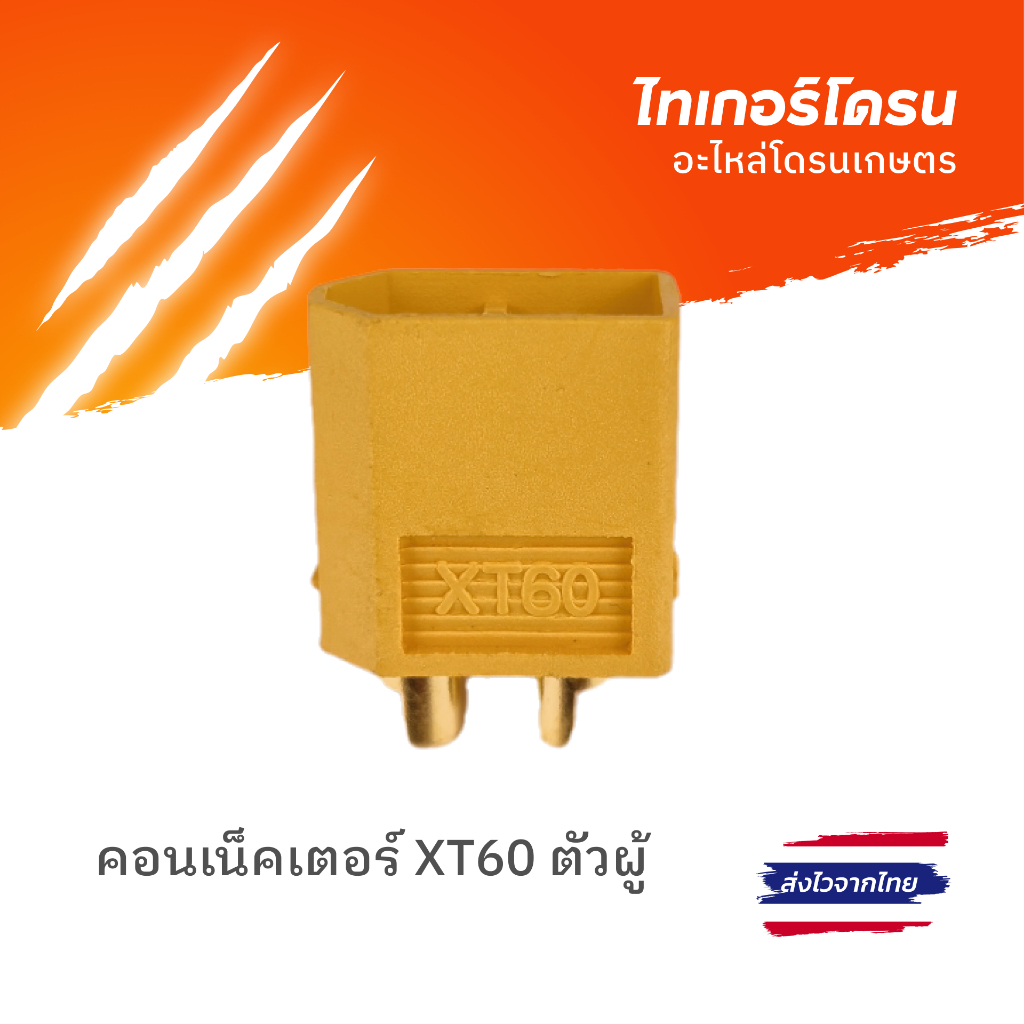 คอนเน็คเตอร์ XT60 ตัวผู้  / CONNECTOR XT60-M AMASS