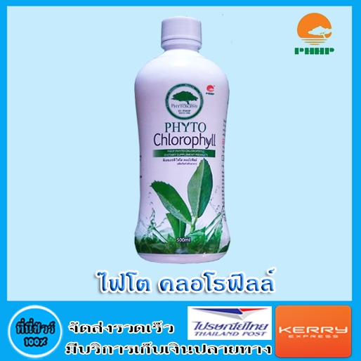 Phyto Chlorophyll ( ไฟโต คลอโรฟิลล์  ) PHHP 📌แท้ 💯%