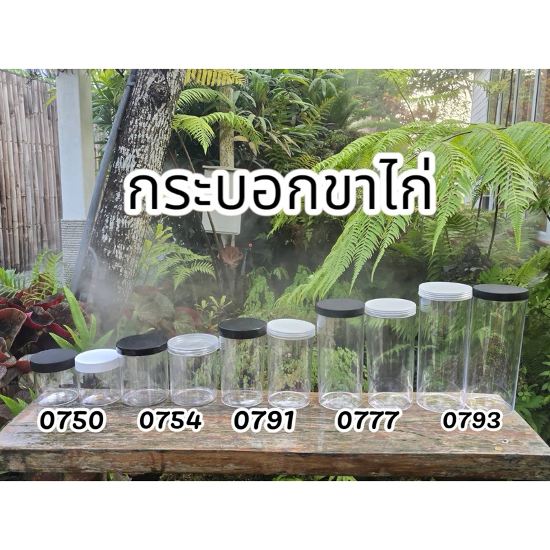 (แพ็ค1ใบ) กระบอกขาไก่ ขนาดกลาง / กระบอกพลาสติก