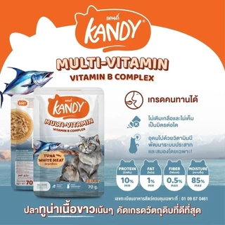(ยกลัง) Kandy อาหารเปียกแมวแคนดี้ ใช้ปลาทูน่าเนื้อขาว สําหรับแมวอายุ 2เดือนขึ้นไป