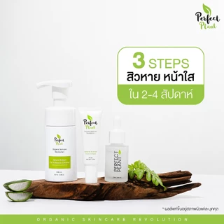 DR.NAME X Perfect Plant เซตดูแลสิว สิวอักเสบ สิวอุดตัน สิวติดสาร (ครีมสิว+โฟมล้างหน้า+ไฮยามอยซ์)