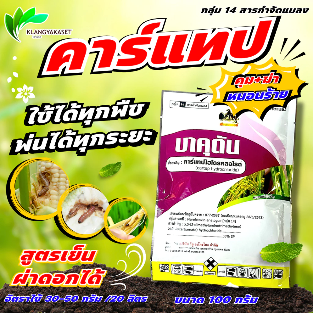 บาคุดัน 100 กรัม คาร์แทป ไฮโดรคลอไรด์ 50%SP หนอนทุกชนิด เพลี้ยอ่อน หนอนเจาะ แมลงบินต่างๆ ด้วงหมัดผัก ซูก้าแทป