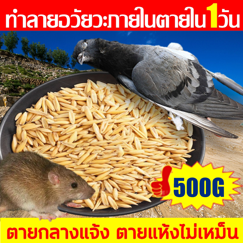 【ยาเบื่อ นกพิราบ】ยากำจัดนกพิราบ ยาเบื่อนก ไล่นก ก้อนไล่นก กำจัดนก เหยื่อกำจัดนกพิราบ เบื่อนกพิราบ ยาฆ่าหนู ไล่หนู