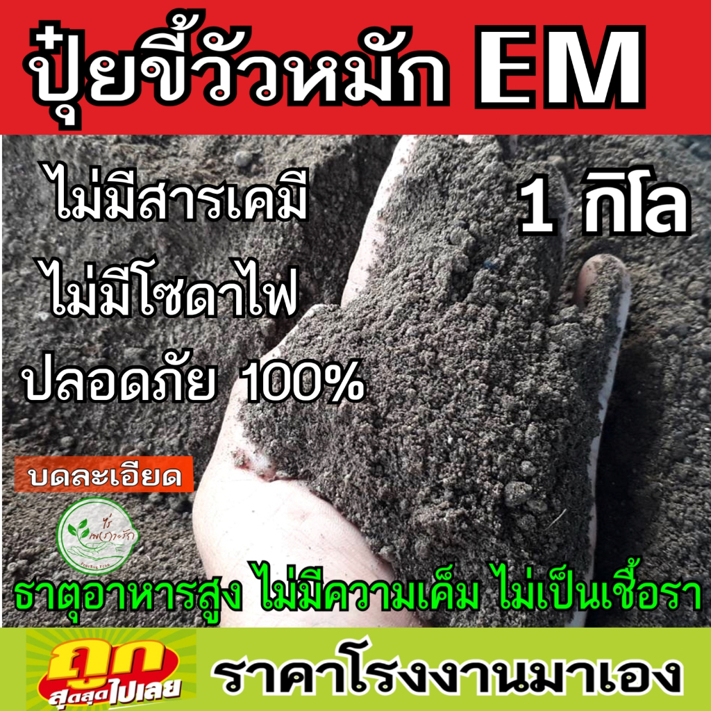 ขี้วัวหมัก EM บดละเอียดพร้อมใช้ ผสมไตรโครเดอร์ม่าป้องกันโรคพืช ขี้วัว หมัก EM ปุ๋ยคอก​ มูลวัว ปุ๋ยหมัก