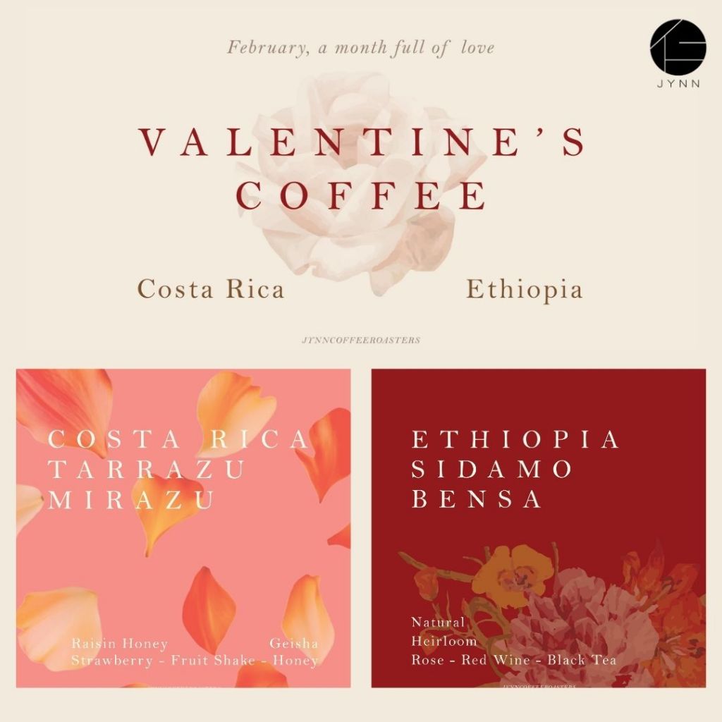 JYNN coffee roasters: เมล็ดกาแฟ Valentine's Gift Bundle🪽 (Geisha Costa Rica & Ethiopia)