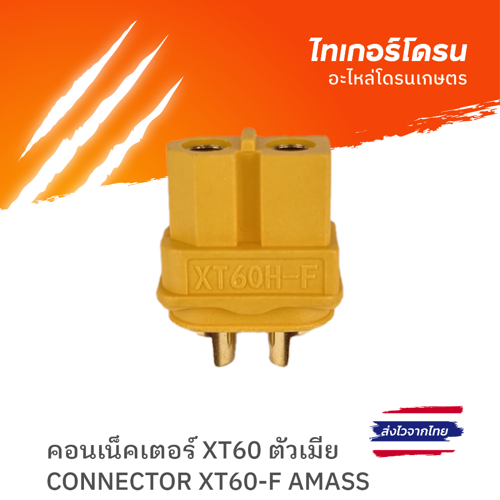 คอนเน็คเตอร์ XT60 ตัวเมีย  /CONNECTOR XT60-F AMASS