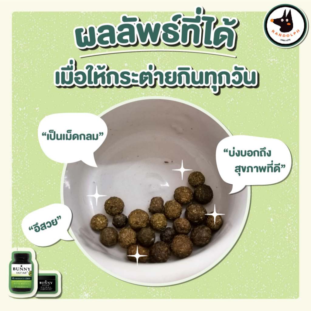 RANDOLPH BUNNY ENZYME & IMMUNOSTIMULATORS 100g./10g.(บันนี่เอนไซม์การฟื้นฟูสุขภาพทางเดินอาหาร สำหรับกระต่าย) ราคา ถูกที่สุด ดีลบีเคเค แกลเลอรีภาพที่ 6