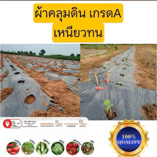 พลาสติกคลุมดิน ผ้ายางคลุมดิน 400หลา(360ม) พลาสติกคลุมแปลง พลาสติกดำเงิน กันวัชพืช ปลูกผัก