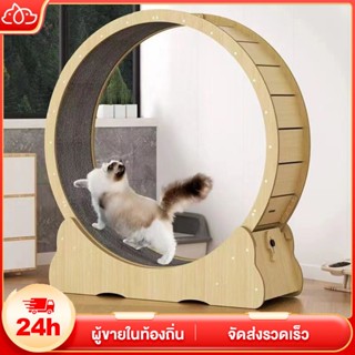 ลู่วิ่งแมว ออกกำลังกาย ขนาดใหญ่ ที่ออกกำลังกายสัตว์เลี้ยง Pe…