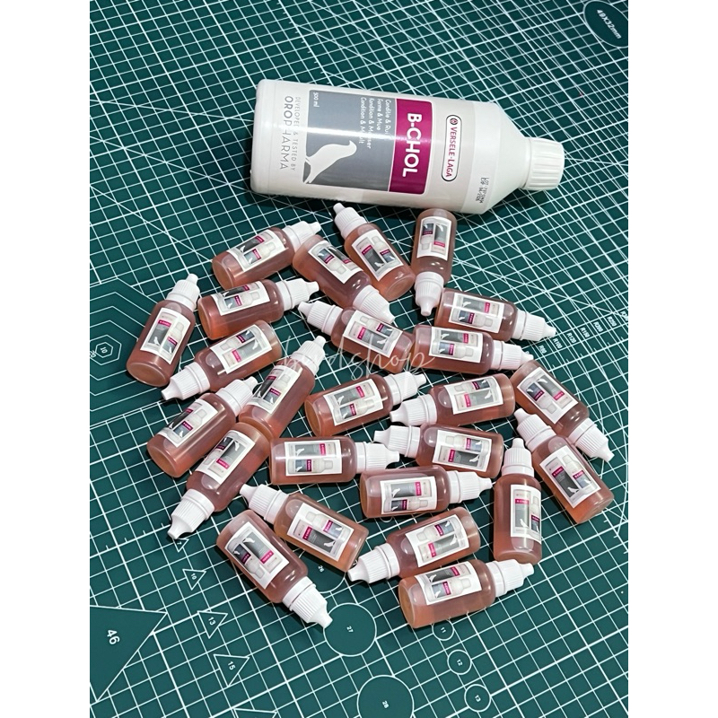 วิตามิน บีโคล B-CHOL 20ml