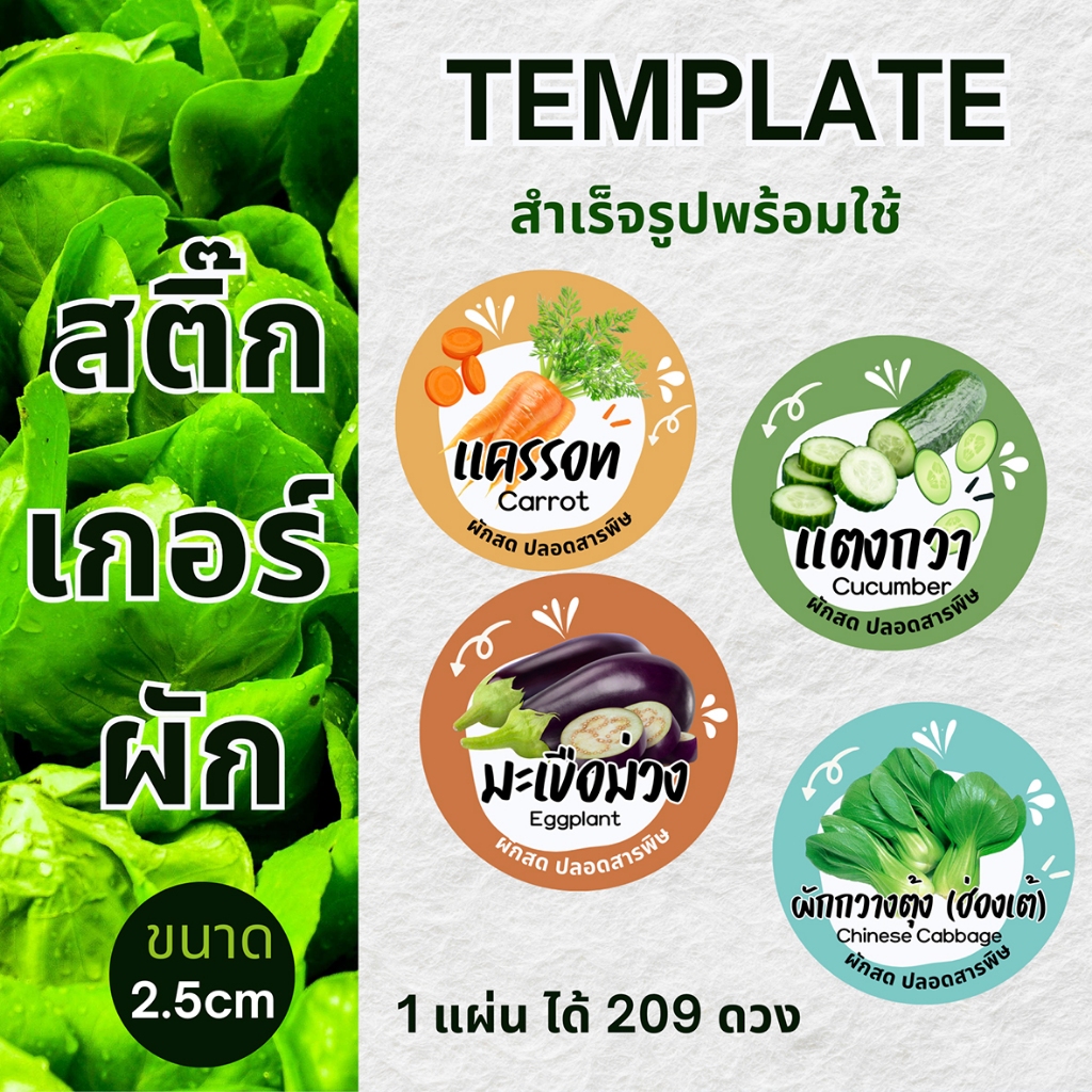 สติ๊กเกอร์ ชนิดผักต่างๆ (โปรดอ่านรายละเอียดสินค้าก่อนสั่งซื้อ)