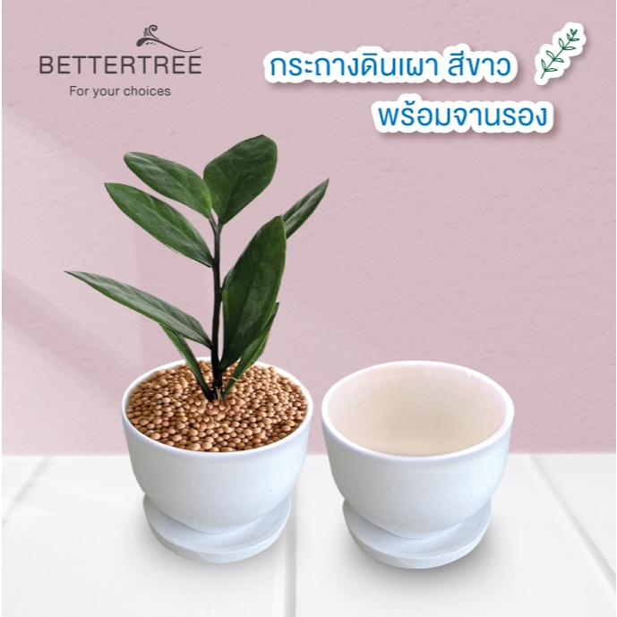 กระถางดินเผาสีขาว 3 นิ้ว พร้อมจานรอง กระถางต้นไม้ กระถาง