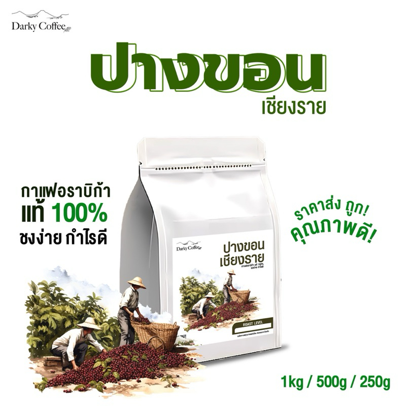 เมล็ดกาแฟปางขอน เชียงราย