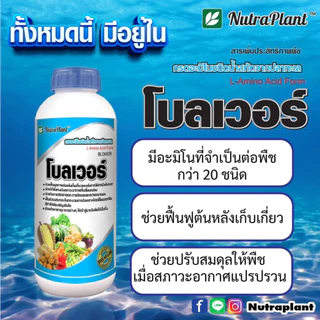 โบลเวอร์ ขนาด 1 ลิตร นูตร้าแพลนท์ อะมิโนจากปลาทะเล ที่จำเป็นต่อพืช ช่วยเรื่องการเจริญเติบโต ฟื้นฟูต้นหลังเก็บเกี่ยว