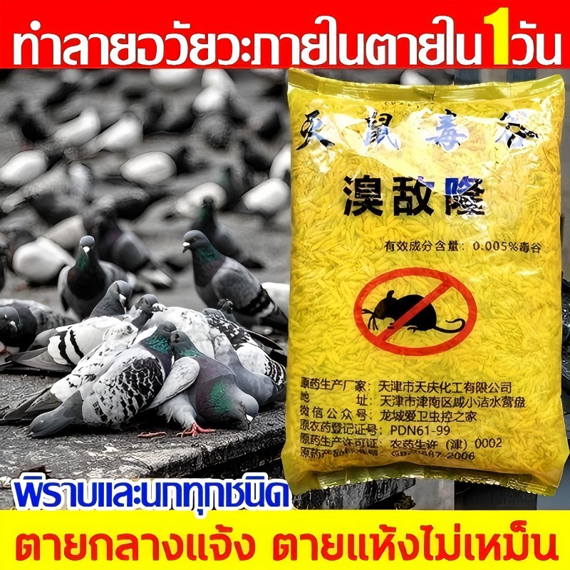 【COD】สูตรใหม่ล่าสุด ยาเบื่อนก ไล่นกพิราบ ยาเบื่อนกพิราบ กันฝน กันแดด เหยื่อกำจัดนกพิราบ เหยื่อกำจัดนกพิราบ นกกระจอก
