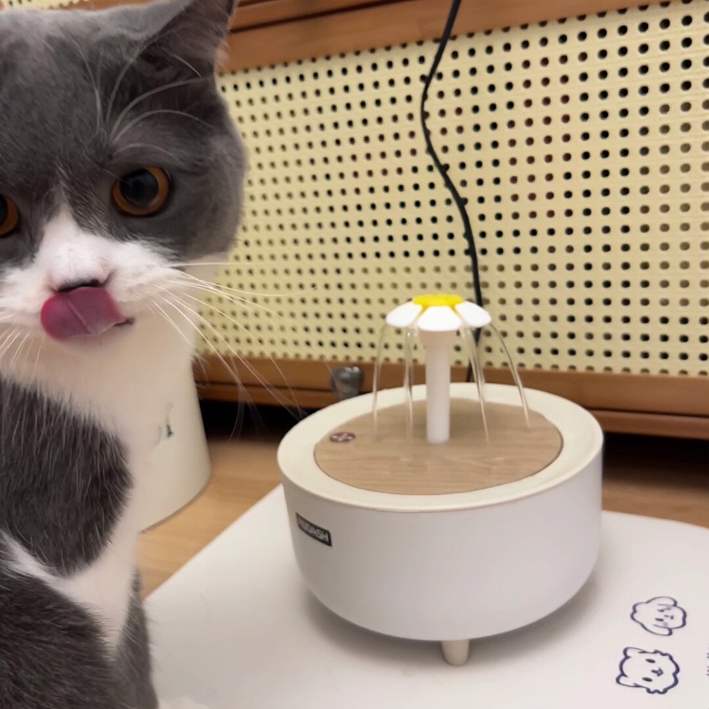 น้ำพุสัตว์เลี้ยงอัตโนมัติ น้ำพุแมว น้ำพุหมา น้ำพุสัตว์เลี้ยง อุปกรณ์สัตว์เลี้ยง จุน้ำ2ลิตร - รูปที่ 6