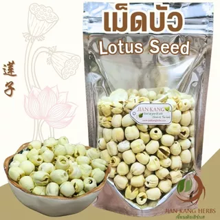 เม็ดบัว 50 100 250 กรัม แกะเปลือก เม็ดบัวจีน เมล็ดบัวแห้ง Lian Zi 莲子 Lotus Seed เหลียนจื่อ สมุนไพรจีน Semen Nelumbinis