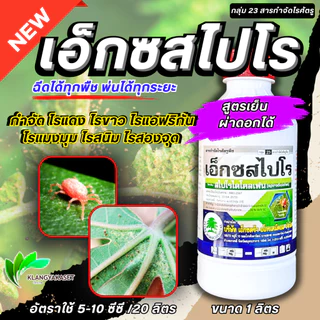 เอ็กซสไปโร 1ลิตร สไปโรไดโคลเฟน สารกำจัด ไรแดง ไรขาว ไรแมลงมุม อีเรบัส สไปรอน กลุ่มเดียวกับ โอเบรอน