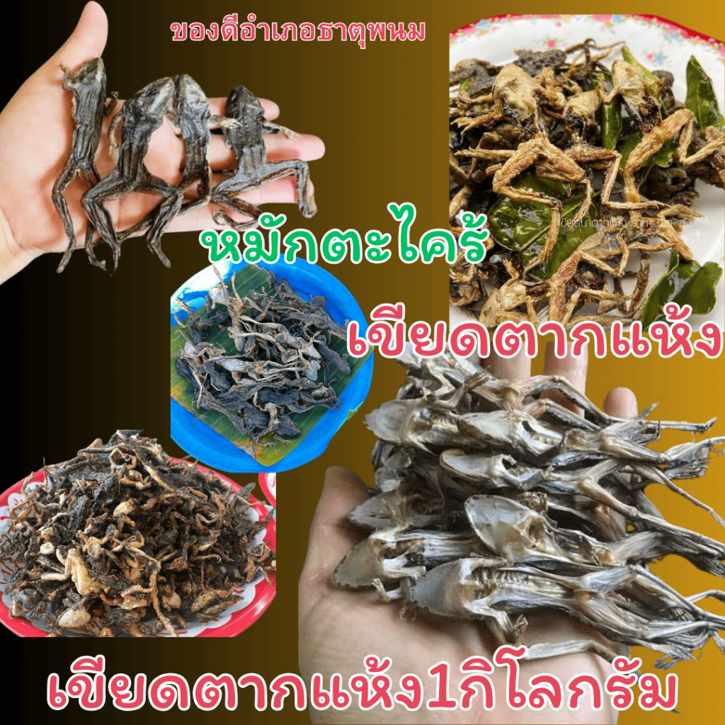 1กิโลกรัม เขียดแห้งเกรดA อำเภอธาตุพนม เขียดอีโม่ เขียดสำหรับทอดหรือปิ้ง ของแซ่บอีสาน