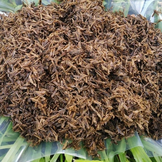 แกลบเก่าหมักมูลวัวและรำข้าว 900g. แกลบหมักบำรุงดิน แกลบเก่าหมักขี้วัว แกลบอินทรีย์ รำพวนข้าว หมักด้วยปุ๋ยคอก