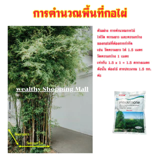 【ซื้อ 3 แถม 1】รากเน่ารากไม่ขึ้นอีก ยาฆ่าไม้ไผ่ สารกำจัดกอไผ่ ผงกำจัดกอไผ่ เฮกซาซิโนน 5% 500g บอกลาการตัดต้นไม้ด้วยตนเอง