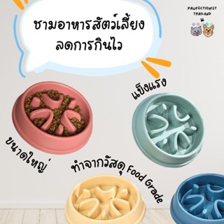 Pawfectionist TH: ชามอาหารสุนัข ชามอาหารสัตว์เลี้ยง ลดการกิน…
