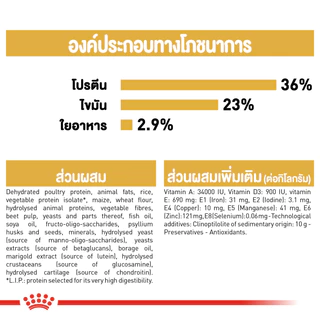 [กระสอบ] Royal Canin Maine Coon Kitten รอยัลคานิน อาหารลูกแมว พันธุ์ เมนคูน ลูกแมว อายุ 4-15 เดือน 10 kg