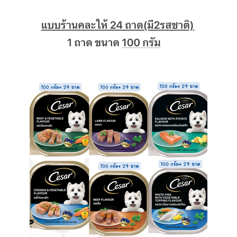 cesar อาหารเปียกสุนัข ขนาด 100gราคาถูกจำนวน24ถาด คละรส