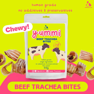 ขนมสุนัข Yummi หลอดลมวัวอบแห้ง แบบตัดชิ้นและเต็มชิ้น ขนมแทะข…