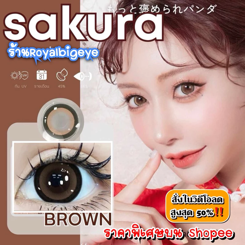 ส่งด่วนทุกวัน‼️คอนแทคเลนส์ Sakura Brown - Wink Lens / Pitchy Lens สีน้ำตาลขนาดตาโต