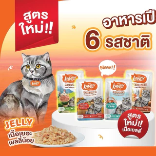 (แบบโหล)Kandy Cat Pouch in Jelly ❤️😺 แคนดี้ อาหารเปียกสำหรับแมวในเยลลี่บรรจุ 70g*12