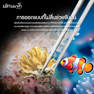ที่คีบสแตนเลส ฟอร์เซป long forceps ไม้คีบอเนกประสงค์สำหรับตู้ปลา ปลายตรงและปลายงอ ยาว 27 ซม.