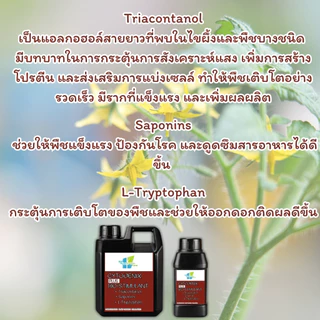 ไซโตไคนิน กระตุ้นตาดอก แตกตาพืช เปิดตาดอก เร่งออกดอก เร่งการแตกกิ่ง เร่งยอด เร่งแตกตาข้าง