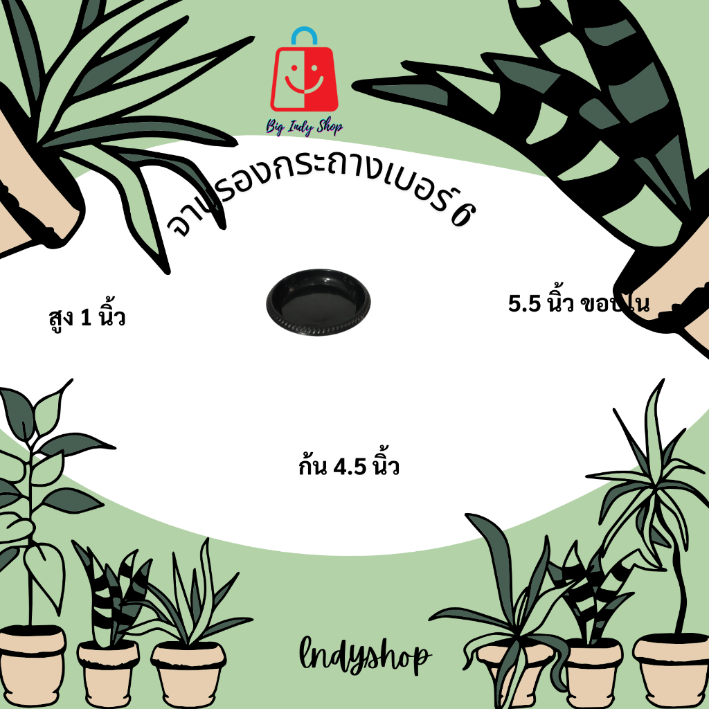 จานรองกระถางต้นไม้ จานรองพลาสติก ถาดใส่ภาชนะ ดีไซน์เก๋ ดูมีระดับ ดำเงา ไม่หมองให้เคืองสายตา มีหลายขนาดให้เลือก  [ สีดำ ] - รูปที่ 3