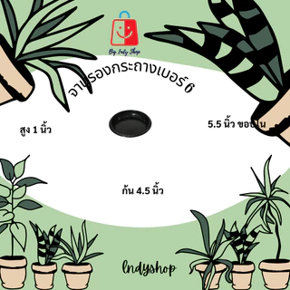 จานรองกระถางต้นไม้ จานรองพลาสติก ถาดใส่ภาชนะ ดีไซน์เก๋ ดูมีระดับ ดำเงา ไม่หมองให้เคืองสายตา มีหลายขนาดให้เลือก [ สีดำ ]