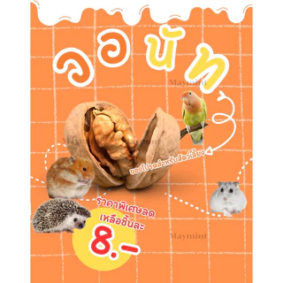(MMPetShop)ลูกสน วอนัท ไผ่หวาน ไม้แอปเปิ้ล และ เซตลับฟัน ไว้ลับฟันหนูแฮมสเตอร์และสัตวและขนาดเล็กอื่นๆ