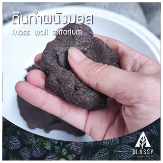 ดินทำผนังมอส Moss wall soil Terrarium ดินสวนขวดTerrariumแนวตั้ง