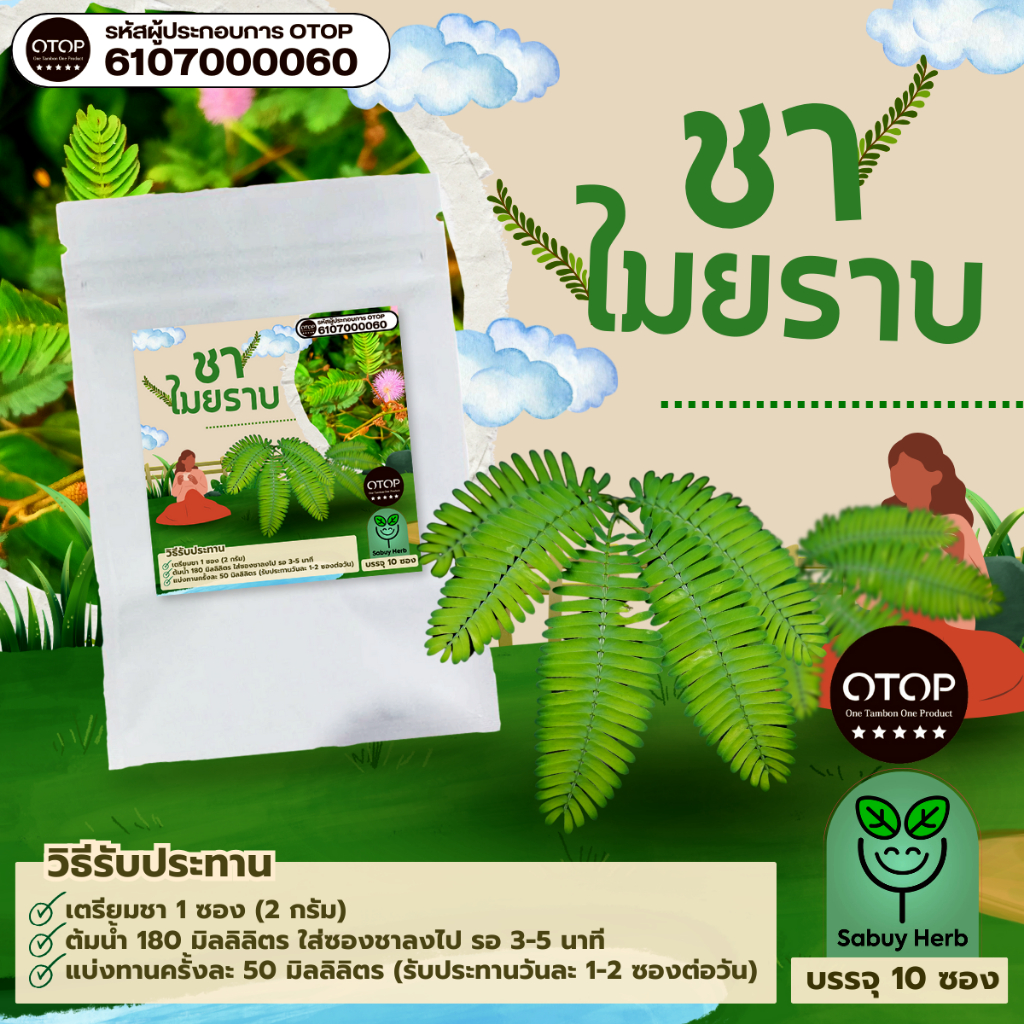 🔥ออกใบกำกับภาษีได้📌 ชาไมยราบ แบบซองแช่ ไม่มีน้ำตาล (สินค้าOTOP) (1 ห่อ 10 ซองชา)