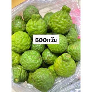 มะกรูดสด 1กก. สดใหม่จากต้น💯ร้านค้าส่งไว ส่งของทุกวัน