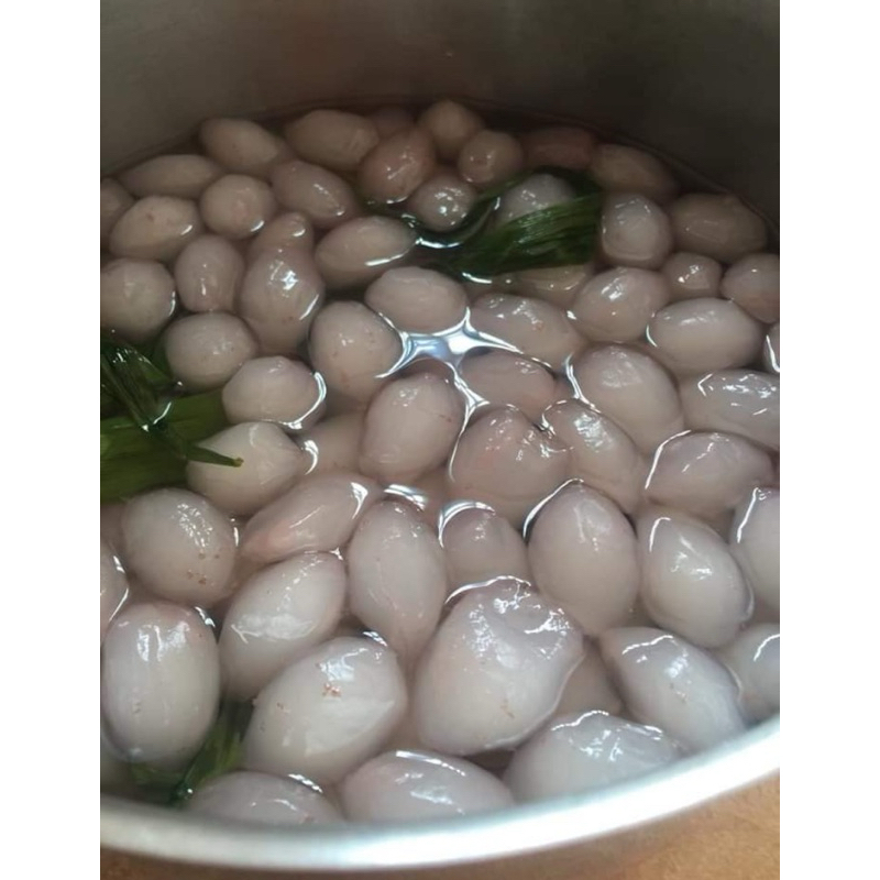 ต้นปาล์มหางกระรอก (foxtail Palm) ผลทานได้ ปลูกง่ายโตไว (สูง 60-80cm) - รูปที่ 4