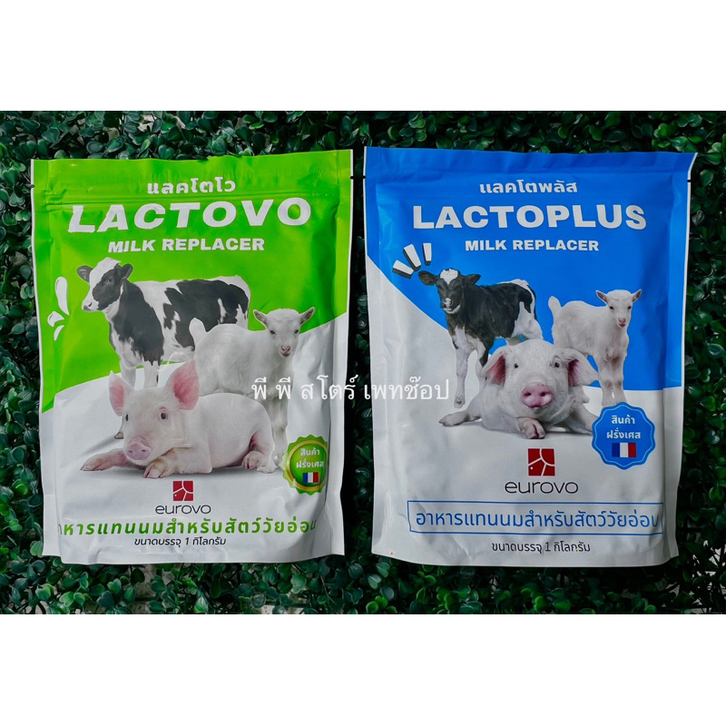นมผงสำหรับสัตว์ เกรดพรีเมียม นำเข้าจากฝรั่งเศส Loctoplus/Lactovo