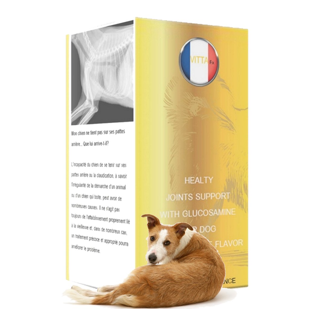 อยู่ ดีๆ สุนัข เดินไม่ได้ pantip ผ้าพันขาสายรัด  สุนัขขาหลังอ่อนแรง เดินไม่ได้ สุนัขขาหลังอ่อนแรง pa